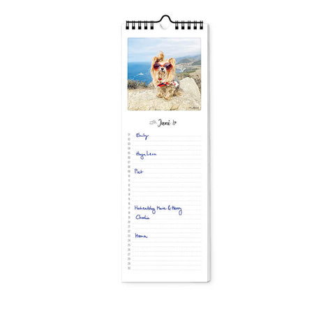 Bunter Hund - Geburtstagskalender (Format 12x36)