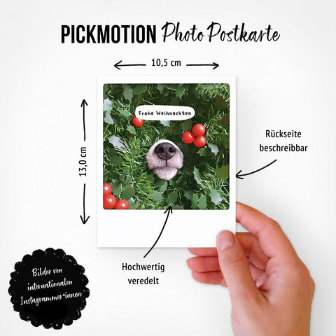 Hand hält Postkarte aus dem Heimelige Grüße | 5er Postkarten-Set von Pickmotion, mit Hundenase zwischen Grün und Beeren, goldverziert und "Frohe Weihnachten"-perfekt für Instagrammer*innen und festliche Sprüche.