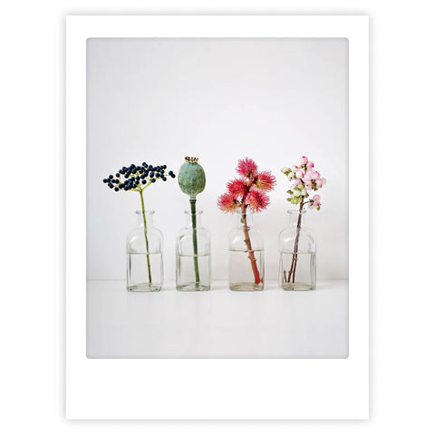 Das Pickmotion-Kunstposter "beautiful blossoms" zeigt vier Glasvasen, jede mit einem einzigartigen Blumen- oder Pflanzenstängel, vor einem schlichten weißen Hintergrund für einen stilvollen Effekt.