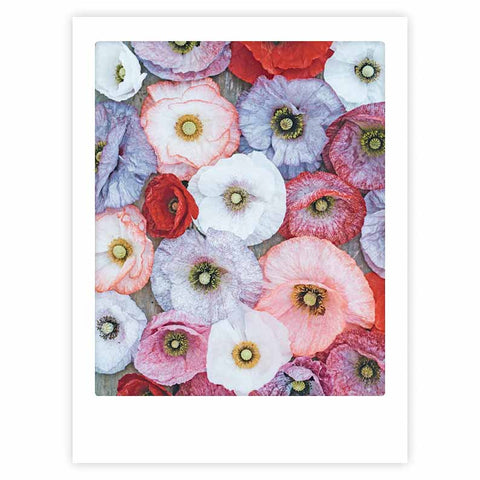 Blossom together" von Pickmotion: ein lebhaftes Kunstposter mit eng aneinander gereihten Mohnblumen in Rot, Weiß, Rosa und Lila - perfekt für individuelle Rahmen.