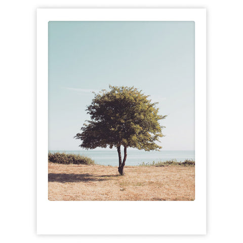 Stand tall" von Pickmotion - ein stilvolles Kunstposter, das einen einsamen Baum auf trockenem Gras am Meer unter einem klaren, blassblauen Himmel zeigt - verleiht jedem Raum einen eleganten Charakter.