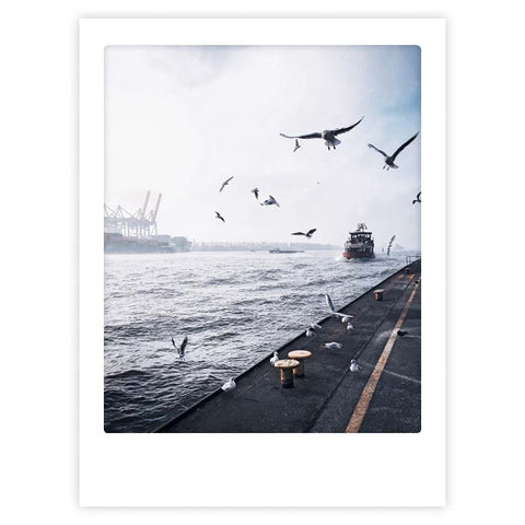 Fangen Sie maritimen Charme ein mit "mowenschwarm" von Pickmotion - ein Poster mit Möwen, die über einem Hafen mit einem entfernten Schiff und nebligen Kränen schweben, perfekt, um Ihrem Raum nautische Eleganz zu verleihen.