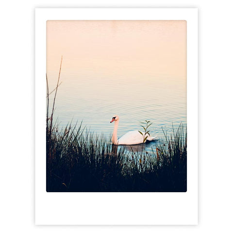 Der "Schwanensee" von Pickmotion zeigt einen anmutigen weißen Schwan, der auf einem ruhigen See gleitet, umrahmt von hohem Gras - ein ideales Kunstposter oder eine stilvolle Wanddekoration.