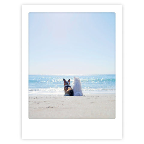 Zwei Hunde sitzen zusammen an einem Sandstrand und blicken unter einem klaren Himmel auf das Meer. "beach buds" von Pickmotion fängt diesen stilvollen Moment ein, ideal für Kunstposter oder individuelle Bilderrahmen.