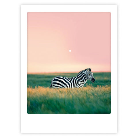Ein Zebrastreifen mit stilvollem Charakter steht im hohen Gras unter einem pastellrosa Himmel, die Sonne über dem Horizont - ein Art Poster von Pickmotion, perfekt für individuelle Bilderrahmen.