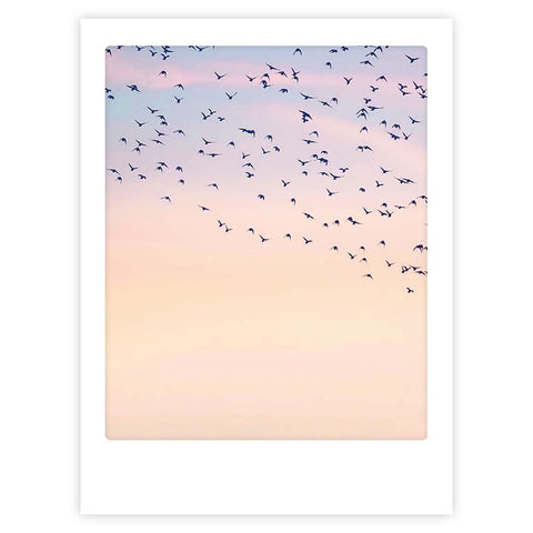 Das "birds of feather"-Kunstposter von Pickmotion zeigt einen Vogelschwarm, der im Polaroid-Stil über einen pastellfarbenen Sonnenuntergangshimmel gleitet und so stilvollen Charakter in jeden Raum bringt.