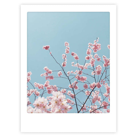 Spring has sprung" von Pickmotion zeigt rosa Kirschblütenzweige vor einem strahlend blauen Himmel, gerahmt im Polaroid-Stil - ein Kunstposter mit stilvollem Charakter für jeden Raum.