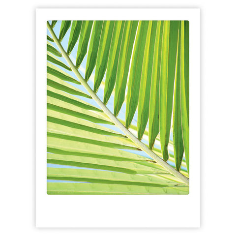 Summer time" von Pickmotion fängt überlappende grüne Palmenblätter vor einem hellblauen Himmel ein, gerahmt wie ein Polaroid - ideal als Kunstposter oder in einem Bilderrahmen für eine internationale Atmosphäre.