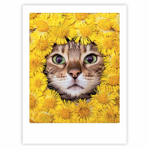Das Kunstposter "Katze und Blumen" von Pickmotion zeigt eine stilvolle Katze, die von leuchtend gelben Pusteblumen eingerahmt wird und geradeaus blickt - ideal für individuelle Bilderrahmen.