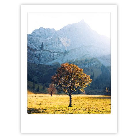 Das Kunstposter "Herbstblätter" von Pickmotion zeigt einen einsamen Baum in einem sonnenbeschienenen Feld vor hohen Bergen unter einem klaren Himmel - stilvoll und ideal für individuelle Bilderrahmen.