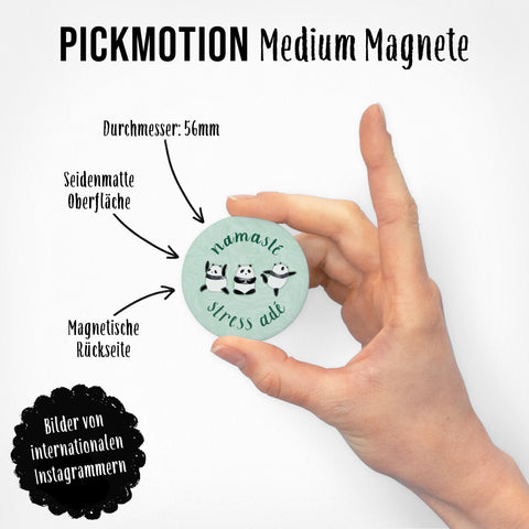 Eine Hand hält einen Magneten aus dem Pickmotion-Set "Anziehendes Leben" (3 Magnete M) mit Pandas, Sternzeichen-Symbolen und dem Text "namasté stress ade" auf hellgrünem Hintergrund.