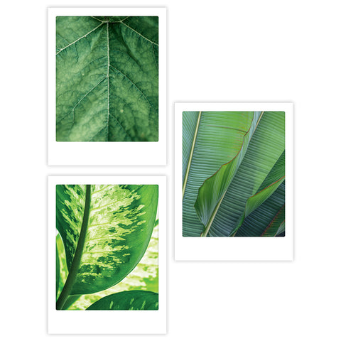 Das Pickmotion "Botanical Lovers - 3er Artposter Set" enthält drei Kunstposter mit grünen tropischen Blättern und einzigartigen Nahaufnahmen - ideal für Botanik-Fans, die eine stilvolle Wanddekoration suchen.