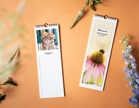 Zwei vertikale Wandkalender, einer mit einem Katzenfoto und einer mit einer Blume und einer Biene, auf einem pastellfarbenen Hintergrund mit Blumen.