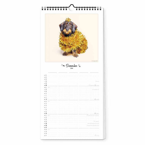 Ein in goldenes Lametta gehüllter Welpe sitzt unter einem Stern auf der Dezember-Seite des Pickmotion Bunter Hund - Familienplaner (Format 20x42), perfekt für Hundefreunde.