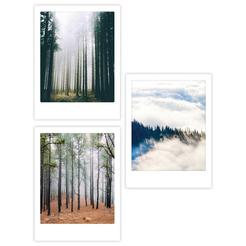 Das Pickmotion Forrest Feelings - 3er Artposter Set zeigt drei Polaroid-Fotos von nebligen Wäldern und Bergen, ideal für Naturliebhaber, die eine stimmungsvolle Waldatmosphäre in ihrer Einrichtung wünschen.