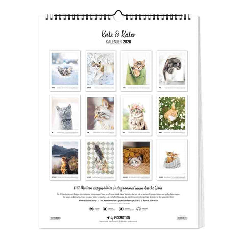 Der Pickmotion Katz & Kater - Kalender (Format 30x40) für 2026 zeigt zwölf bezaubernde Instagram-Katzen mit großen Kulleraugen, stilvoll in einzelnen Rahmen vor weißem Hintergrund präsentiert.