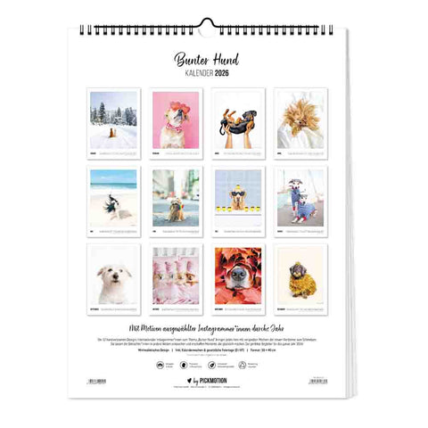 Der Bunter Hund Kalender (Format 30x40) von Pickmotion zeigt zwölf farbenfrohe Fotos verspielter Hunde - perfekt als dekorativer Wandkalender für jeden Hundeliebhaber.