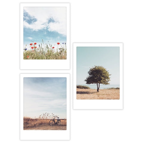 Das 3er Artposter-Set "Keep Calm" von Pickmotion mit entspannenden Motiven wie Wildblumen, Baum am Meer und Fahrrad im Gras passt perfekt in maßgefertigte Rahmen und schafft eine ruhige Atmosphäre in deinem Zuhause.