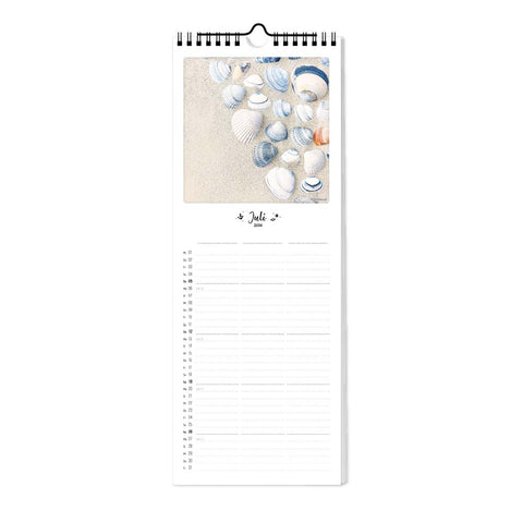 Küste & Meer - Planer 2025 von Pickmotion (15x40): Schönes Muschelmotiv, viel Platz für Notizen - ideal als Familienplaner für Juli!.