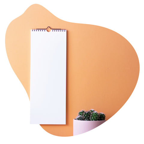 Der Pickmotion Planer liegt auf einem orangefarbenen Hintergrund neben einem kleinen getopften Kaktus, ideal zum Notieren der Anzahl der Produkte, der SKU-Details oder zum Verfolgen von Produkten aus früheren Releases.