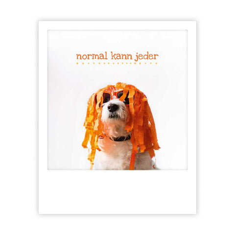 Ein Hund mit orangefarbenen Luftschlangen auf dem Kopf im Sofortbild-Stil, mit dem Text "normal kann jeder" von Pickmotion - ideal für Postkarten oder Instagram-Fotograf*innen auf der Suche nach schrulliger Inspiration.