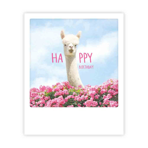 Die "Happy Birthday Lama" Postkarte von Pickmotion zeigt ein Lama hinter rosa Blumen mit Happy Birthday in rosa auf blauem Himmel - ideal für Postkarten-Fans oder Instagram-Fotograf*innen, die den Sofortbild-Stil lieben.