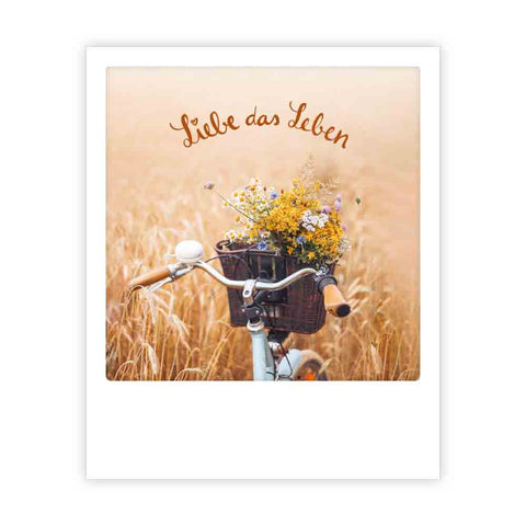 Pickmotion liebe das leben fahrrad: Ein Fahrrad mit Wildblumen-Korb im Feld und dem deutschen Text "Liebe das Leben" - ideal für Postkarten oder als Inspiration für Instagram-Fotograf*innen.