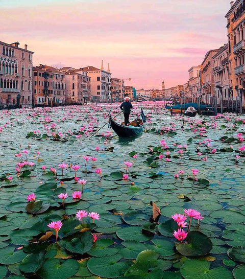 VENEDIG - DIE STADT AUF DEM WASSER