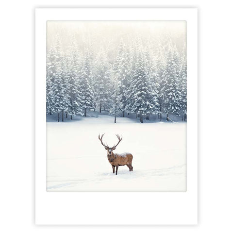 winter deer