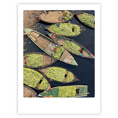 water melon boats