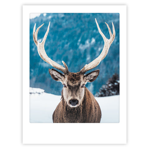 deer winter