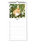 Der Katz & Kater - Familienplaner (Format 20x42) von Pickmotion zeigt den August mit einer orangefarbenen Katze zwischen weißen Gänseblümchen - ideal für den Familienkalender 2024 eines jeden Katzenliebhabers.