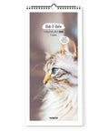 Eine flauschige, blauäugige Katze ziert das Cover des Pickmotion Katz & Kater - Familienplaner (Format 20x42) und verleiht Ihrem Familienplaner 2026 zusätzlichen Charme.