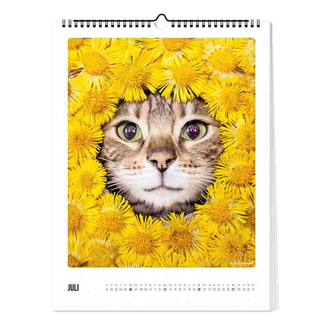 Katz & Kater - Kalender (Format  30x40)