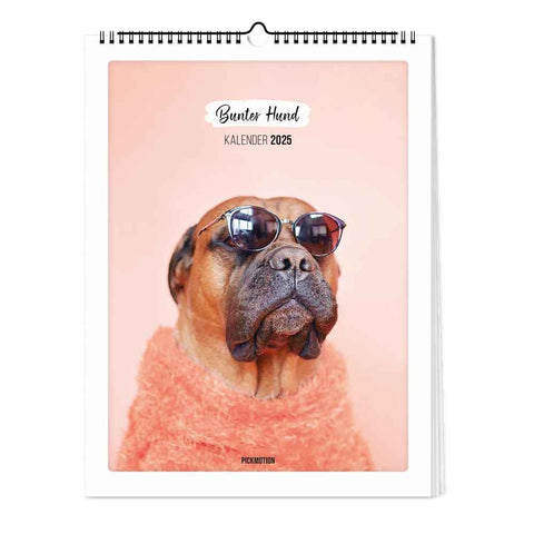 Bunter Hund - Kalender (Format  30x40)