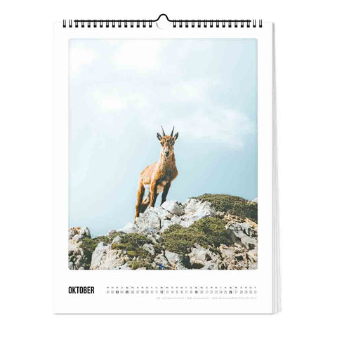 Der Berg ruft - Kalender (Format  30x40)