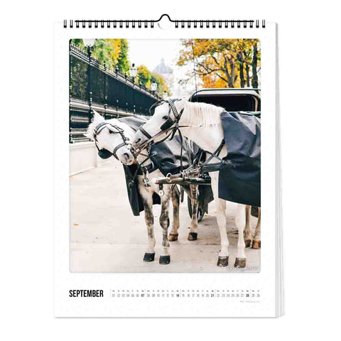 Wien - Kalender (Format  30x40)