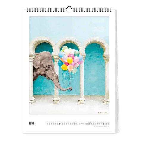 Die Pickmotion Zauberhafte Welt - Kalender (30x40) zeigt einen Elefanten, der mit seinem Rüssel bunte Luftballons hält und zwischen weißen Bögen vor einer blauen Wand steht.