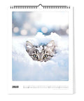 Auf der Januar-Seite des Pickmotion Katz & Kater - Kalenders (30x40) lugt eine getigerte Katze mit großen Kulleraugen aus dem tiefen Schnee hervor.