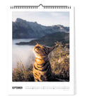 Eine getigerte Katze mit großen, runden Augen sonnt sich im Freien, mit Bergen und Nebel im Hintergrund - ein ideales Septemberbild für den Pickmotion Katz & Kater - Kalender (30x40).