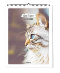 Nahaufnahme einer flauschigen Katze mit großen Kulleraugen und blauen Augen auf dem Cover der 2026 Pickmotion Katz & Kater - Kalender (Format 30x40).