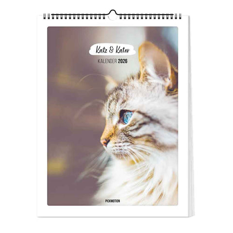 Nahaufnahme einer flauschigen Katze mit großen Kulleraugen und blauen Augen auf dem Cover der 2026 Pickmotion Katz & Kater - Kalender (Format 30x40).