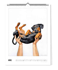 Ein Mensch hält einen schwarz-braunen Dackel auf dem Rücken, abgebildet auf der März-Seite des Pickmotion Bunter Hund - Kalenders (Format 30x40) - ideal für den Wandkalender eines jeden Hundeliebhabers.