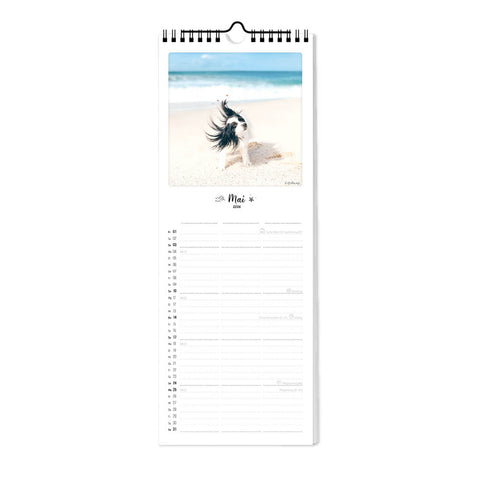Der Pickmotion "Bunter Hund - Planer" (15x40) Wandkalender zeigt den Mai mit einem fröhlichen Hund, der an einem Sandstrand am Meer läuft - ein perfekter Hundekalender mit bezaubernden Hundemotiven für jeden Hundefan oder als Familienplaner.