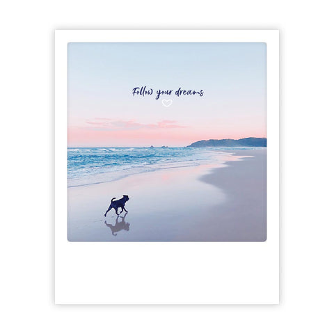 Ein Hund läuft bei Sonnenuntergang am Strand, aufgenommen im Sofortbild-Stil, mit "follow your dreams" darüber - ideal für Postkarten oder Instagram-Liebhaber*innen, die Inspiration suchen. Von Pickmotion.