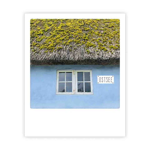 thatched roof house