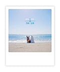 Zwei Hunde sitzen zusammen an einem Sandstrand und blicken auf das Meer unter einem blauen Himmel. Im echten Sofortbild-Stil - fast wie eine Postkarte! Text: Du, ich & die Seehunde. Marke: Pickmotion.