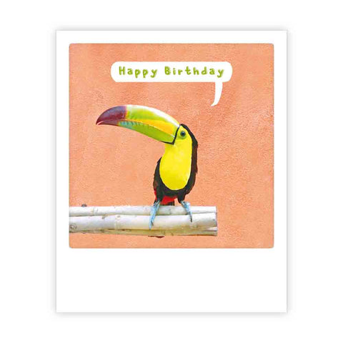 happy birthday toucan