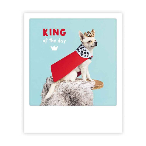 Ein kleiner Hund mit Krone und rotem Umhang sitzt auf einem Hocker auf dieser Pickmotion-Postkarte "König des Tages", die wie ein Sofortfoto gestaltet ist und den Text KÖNIG des Tages auf blauem Hintergrund zeigt - perfekt für Instagram-Fotos.