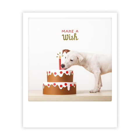 Ein weißer Hund schnüffelt an einem Geburtstagskuchen mit einer Kerze unter dem Text "make a wish" von Pickmotion, aufgenommen im Sofortbild-Stil, der an verspielte Postkarten erinnert, die von Instagram-Fotografen geteilt werden.